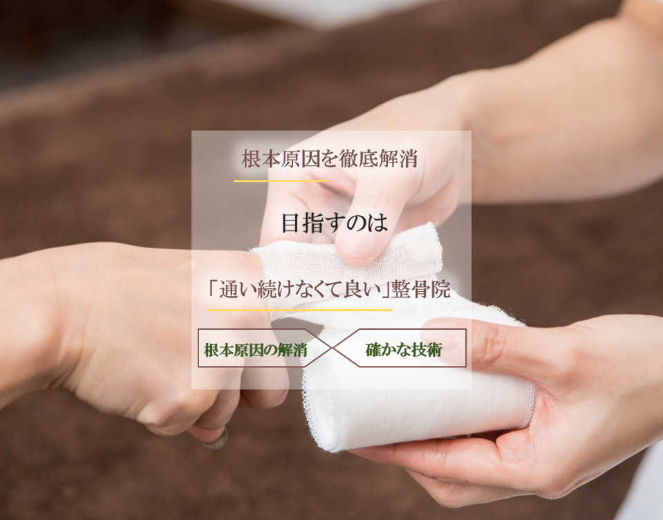 トップ